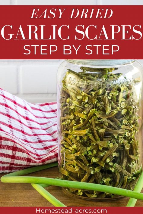 How To Dehydrate Garlic, Dehydrating Garlic, Dehydrate Garlic, Garlic Scape Pesto, Hardneck Garlic, Garlic Scapes, Pickled Garlic, Growing Garlic, Water Bath Canning