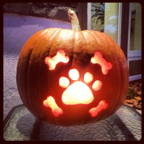 Dog jack-o-lantern for Halloween Dog Carving Pumpkin, Pumpkin Carving Ideas For Dogs, Pumpkin Dog Carving, Pet Pumpkin Carving, Paw Pumpkin Carving Ideas, Dog Pumpkin Carving Easy, Paw Print Pumpkin Carving, Cute Dog Pumpkin Carving Ideas, Dog Face Pumpkin Carving