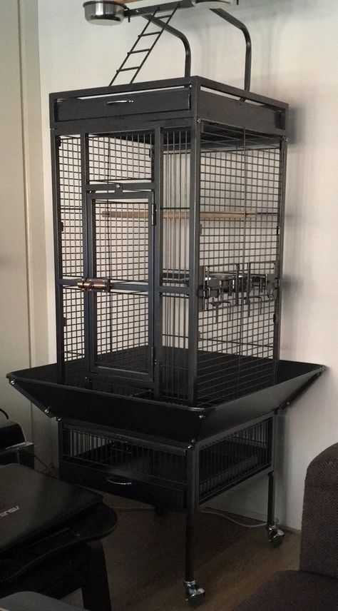 Are you looking to purchase a A10 Parrot Bird Cage but you are unsure whether it is a good product? Are you looking for Parrot Cage Ideas? Read this article which will answer these questions and present you with pictures of our indoor parrot cage setup.  Feel free to let me know your thoughts by commenting under the post. In case you decide to make the purchase please use the links from the article, I appreciate your support!  https://bestparrottoys.com/a10-parrot-bird-cage-product-review/ Amazon Parrot Cage Setup, Birds Cage Ideas Indoor, Parrot Cages, Parrot Cages Ideas, Parrot Cage Setup, African Grey Parrot Cage Ideas, Quaker Parrot Cage Setup, Bird Cage Ideas Indoor, Large Parrot Cage