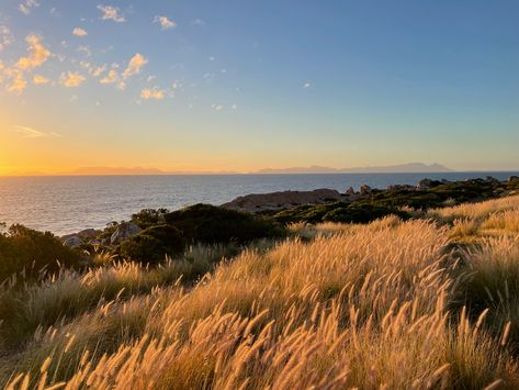 Lanscape Photoshoot Aesthetic Wallpaper, Lanscape Photoshoot Nature Aesthetic, Gold Nature Aesthetic, Field Photography Landscape, Calm Nature Aesthetic, Wildflower Scenery, Grassland Aesthetic, Golden Summer Aesthetic, Peaceful Aesthetic Nature