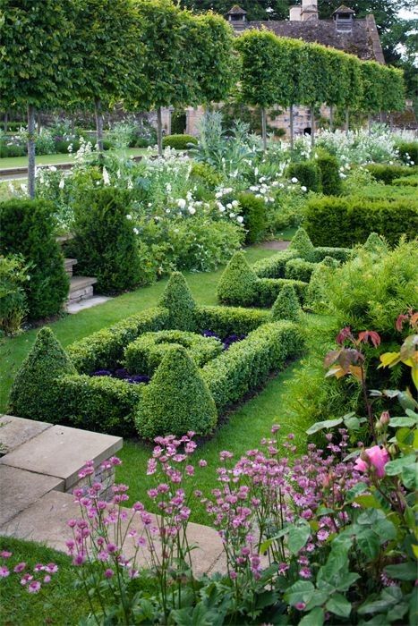 my garden, french parterres and your opinion please ... | MY FRENCH COUNTRY HOME Garden With Flowers, Formal Garden Design, Parterre Garden, Boxwood Garden, English Garden Design, Topiary Garden, Formal Garden, Garden Design Plans, Formal Gardens