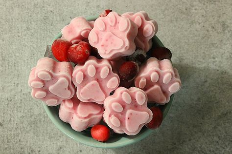 These Probiotic Cranberry Dog Treats not only help your dog's gut with probiotics but cranberries are filled with antioxidants that help the immune system. Cranberry Dog Treats, Frozen Dog Treats Recipes, Cranberry Treats, Pet Treats Recipes, Dog Treats Homemade Easy, Frozen Dog Treats, Cookie Rookie, Cheese Dog, Dog Foods