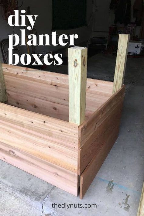 Learn how to build DIY planter boxes and raised garden beds using cedar wood. #gardenboxes Raised Garden Plans, Raised Planter Boxes Plans, Diy Planter Boxes, Raised Garden Boxes, Planter Box Plans, Elevated Planter Box, Raised Garden Bed Plans, Garden Boxes Diy, Elevated Gardening