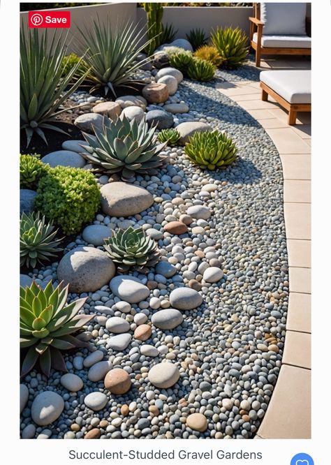 Landscape With Succulents, Front Yard Landscape Low Maintenance, Succulent Gardens Ideas, Garden Succulents Ideas, Rock Garden Succulents, Front Yard Landscaping Ideas Desert, Agave Front Yard Landscaping Ideas, Front Yard Landscaping Cactus, Front Garden Inspo Ideas