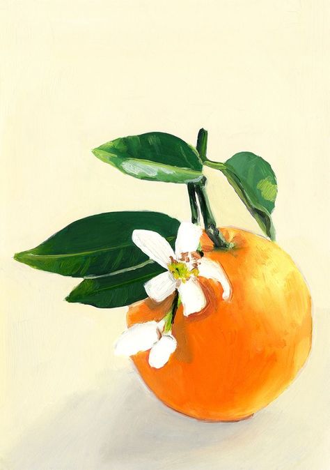 🍊 Orange blossom for innocence 🍊⁠
⁠#floriography #florals #flowers #flowerpaintings #nature #paintings #oilpaintings #design #books #illustrationbooks #illustration #creativeagency #jelly #paint #art #artist #illustrator #illustrationagency #create #botanical #referencecards #oilpaint #stilllife Orange Blossom Drawing, Orange Blossoms, Orange Blossom Painting, Fine Line Orange Blossom Tattoo, Orange Blossom Art, Orange Blossom Line Drawing, Orange Blossom Line Art, Orange Blossom Botanical Illustration, Camberwell College Of Arts