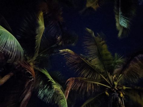 Dark Hawaiian Aesthetic, Spooky Island Aesthetic, Tropical Gothic Aesthetic, Island Aesthetic Dark, Dark Tropical Aesthetic, Dark Paradise Aesthetic, Tropical Academia, Regional Gothic, Tropical Halloween