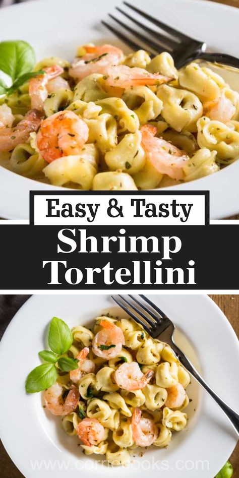 This dish combines the sweetness of succulent shrimp, the rich creaminess of a well-made Alfredo sauce, and the hearty goodness of cheese-stuffed tortellini. Shrimp Spinach Tortellini, Shrimp With Tortellini Recipe, Shrimp And Cheese Tortellini Recipes, Tortellini Recipes Shrimp, Tortellini And Shrimp Recipes, Shrimp Tortellini Salad, Shrimp And Tortellini Recipes, Shrimp Tortellini Recipes, Tortellini And Shrimp