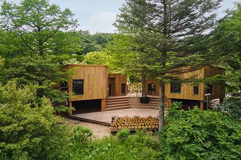 “Korea National Arboretum Children's Forest School” is used as an educational and exhibition space to inform children about the importance of forests and the environment in a fun and easy way through the building and the exhibition of outdoor spaces.  The architectural concept is based on the biophilic design in which nature, ecosystem and architecture coexist. The first starting point of this project is the harmony between the building and the existing trees. We preserve the old fir and cypress Biophilic Architecture, Outdoor Stage, History Project, Landscape Construction, Forest School, Cypress Trees, Rain Garden, Roof Garden, Exhibition Space