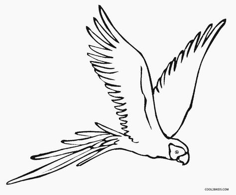 Printable Parrot Coloring Pages For Kids | Cool2bKids Parrot Tattoo, Parrot Flying, Parrot Drawing, Fly Drawing, Anatomy Coloring Book, Bird Coloring Pages, Beautiful Rangoli Designs, Disney Coloring Pages, Drawing Easy