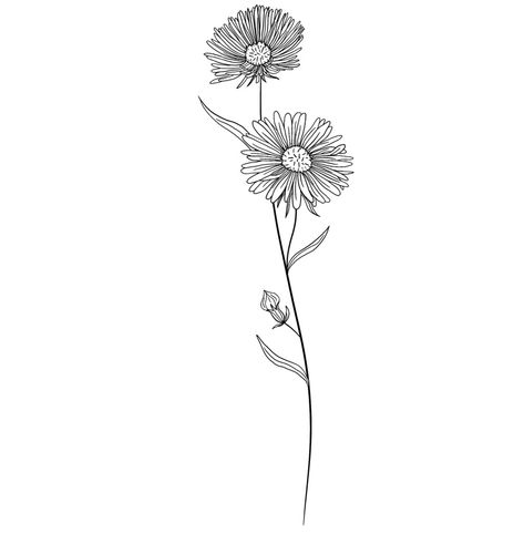 Aster Finger Tattoo, Daisy Tattoo Spine, Aster Line Art, Aster Line Drawing, Aster Fine Line Tattoo, Daisy And Morning Glory Tattoo, Aster Flower Outline, Virgo Flower Tattoo September, Small Aster Flower Tattoo