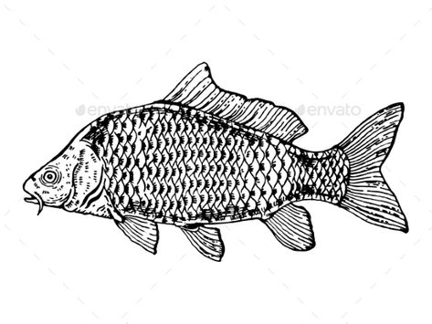 Carp Fish Engraving Style Vector Illustration Fish Engraving, Woodcut Art, Handmade Illustration, Carp Fish, Cartoon Clip, Fish Graphic, Fish Drawings, Print Inspiration, Poster Retro