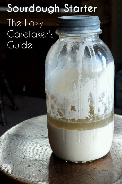 Tips and advice for the care and feeding of a sourdough starter, including how to maintain it, and how to revive a neglected starter. (Don't worry - it happen's to the best of us!) #sourdough #soudoughstarter #sourdoughbaking #baking #breadbaking Sourdough Starter Measurements, When Is My Sourdough Starter Ready, Sourdough Recipes From Starter, Waking Up Sourdough Starter, Sourdough Starter No Scale, How To Make Sour Dough Bread Starter, How To Use Sour Dough Starter, Sourdough Starter Recipe With Yeast, How To Activate Sourdough Starter