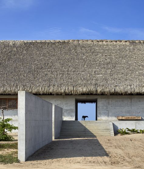 Image 14 of 43 from gallery of Wabi House / Tadao Ando Architect and Associates. Photograph by Edmund Sumner Tadao Ando Architecture, Tadao Ando, Japanese Architect, Thatched Roof, Japanese Architecture, Sustainable Architecture, Ancient Architecture, Modern Buildings, Residential Architecture