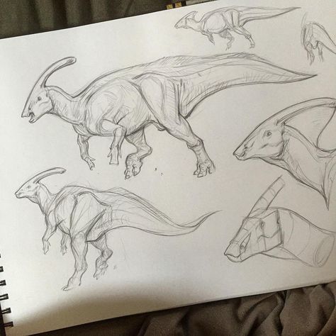 Morning dino sketches #cottonwoodarts #sketch #sketchbook #animaldrawing #animal #creature #dinosaur #parasaurolophus #jonathankuo #jonnadon1 Dinosaur Anatomy, Dinosaur Reference, Dinosaur Pencil, Dino Drawing, Zoo Ideas, Dinosaur Sketch, Dinosaur Images, Dinosaur Drawing, Dinosaur Illustration