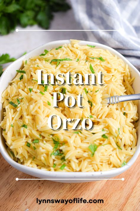 Instant Pot Orzo, Cheesy Orzo, Family Breakfast Recipes, Pork Crockpot Recipes, How To Cook Orzo, Instant Pot Pasta Recipe, Orzo Recipes, Easy Instant Pot Recipes, Instant Pot Dinner Recipes