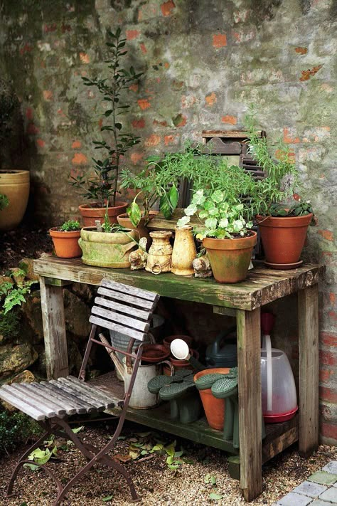 Garden Potting Bench Ideas, Small Garden Pots, Small Cottage Garden Ideas, Potting Benches, Small Courtyard Gardens, Courtyard Gardens Design, Interior Design Images, Ivy House, Pot Plants