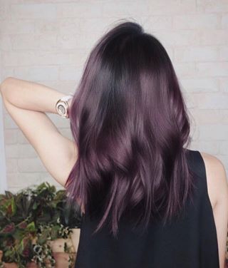 Tintes oscuros para cabello: el color berenjena es perfecto si no quieres el clásico negro - VIX Eggplant Colored Hair, Eggplant Hair, Blackberry Hair Colour, Winter Hair Color Trends, Dark Purple Hair, Violet Hair, Costume Noir, Hair Color Purple, Winter Hair Color