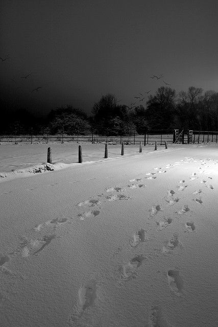 Beautiful! I love taking walks in the snow. I Love Snow, Learn To Run, I Love Winter, Run Through, Gifts For Boyfriend, Dark Winter, Winter Scenery, Christmas Gifts For Boyfriend, Snowy Day