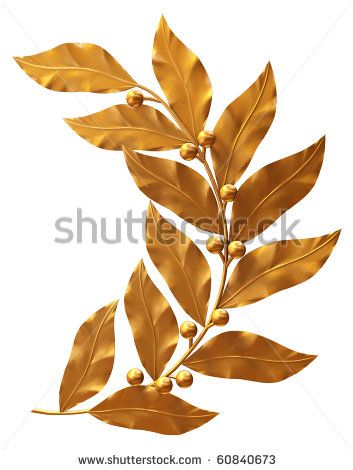 Arm References, Golden Laurel Wreath, Laurel Branch, Zeus Tattoo, Bridal Headdress, Leg Tattoo Men, Laurel Leaves, Nursery Inspo, Olive Leaf