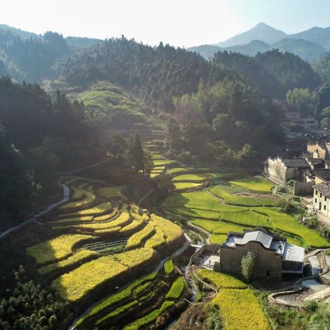 Trace Architecture Office built Paddy Field Bookstore between old rammed-earth gables of a long-abandoned residence in rural China. Rural China, China House, Paddy Field, China Architecture, Rural Village, Rammed Earth, House In Nature, Abandoned House, Old Bricks