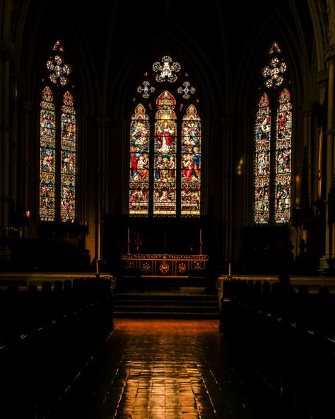 (9) 🕯️Catholic Academia🕯️ в Tumblr Catholic Church Stained Glass, Catholic Core, Stained Glass Windows Church, Catholic Aesthetic, Religious Imagery, Church Aesthetic, Church Backgrounds, Stained Glass Church, Church Windows