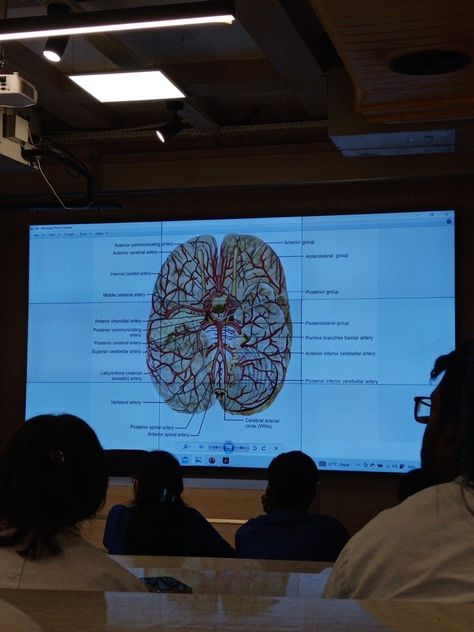 Psychology Lab Aesthetic, Doctoral Degree Aesthetic, Med Life Aesthetic, Neurosurgery Aesthetic, Neuropsychology Aesthetic, Neuro Doctor, Neurologist Aesthetic, Neuro Aesthetic, Neuroscience Major