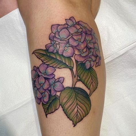 Hydrangea Memorial Tattoo, Hydrangea Traditional Tattoo, Neo Traditional Hydrangea Tattoo, Hydrangea Tattoo Color, Hygrandea Tattoo, Hydrangea Reference, Hydragena Tattoos, Hydrangea Tattoo Design, Hydrangea Tattoo Sleeve