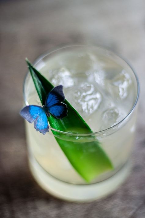 Garnished with a pineapple leaf and edible butterfly Mocktail Bar, Edible Butterfly, Brazil Carnival, Mocktails, Pineapple, Ethnic Recipes