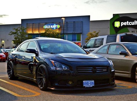 Custom Nissan Maxima, Modded Nissan Altima, Nissan Maxima Modified, 2010 Nissan Maxima, 2011 Nissan Maxima, Nissan Altima Coupe, Future Cars, Nissan Infiniti, Car Inspiration