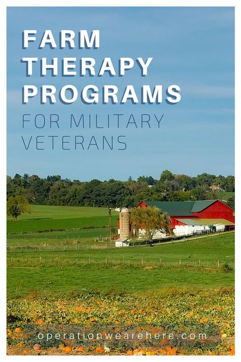 Farm Therapy for Military Veterans Therapy Farm, Therapeutic Horticulture, Wilderness Therapy, Sensory Space, Horticulture Therapy, Animal Therapy, Therapy Business, Therapeutic Recreation, Caregiver Resources