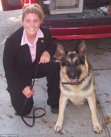 Megan Leavey, Vietnam Vets, Us Marine Corps, Police Dogs, Womens History Month, Military Police, Us Marine, Save Her, Tv Drama