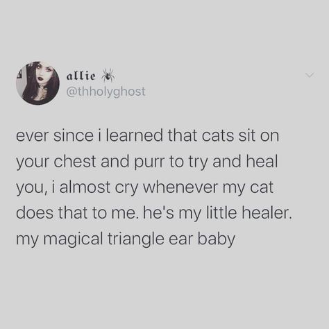 Cat Person Quotes, Cat Owner Quotes, Cat Mom Quotes, Owner Quotes, Puppy Life, Person Quotes, Deep Quote, Lion Cat, Kitty Stuff