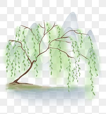 Weeping Willow Tree, Sunflowers Background, Christmas Tree Background, Willow Leaf, Brick Wall Background, Willow Branches, Tree Clipart, Spring Clipart, Watercolor Tree