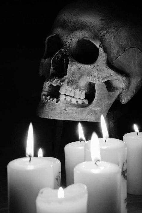 Skull Reference, Candles Dark, City Of Starlight, Skulls And Bones, Dark Grunge, Skull Decor, Human Skull, Skull And Bones, Dark Forest