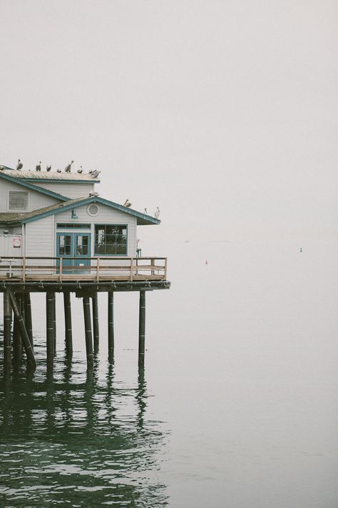 Stardew Valley, Beach Cottages, Coastal Living, In The Middle, A House, Habitat, The Ocean, The Middle, White House