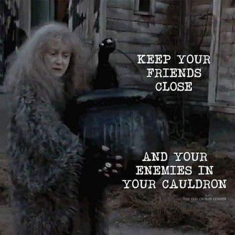 Keep your friends close... and your enemies in your cauldron. Witch Jokes, Witch Humor, Witchy Humor, Witchy Quotes, Image Positive, Funny Witch, Halloween Humor, Witch Quotes, Which Witch