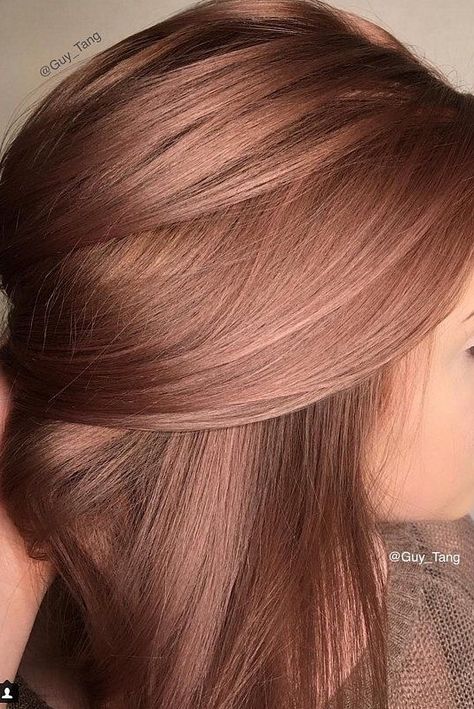 Rose Brown Hair Color, Rose Brown Hair, Rose Gold Hair Brunette, Hair Color Pictures, Rambut Brunette, Gold Hair Colors, Hair Color Rose Gold, Brown Hair Color, Haircut Styles