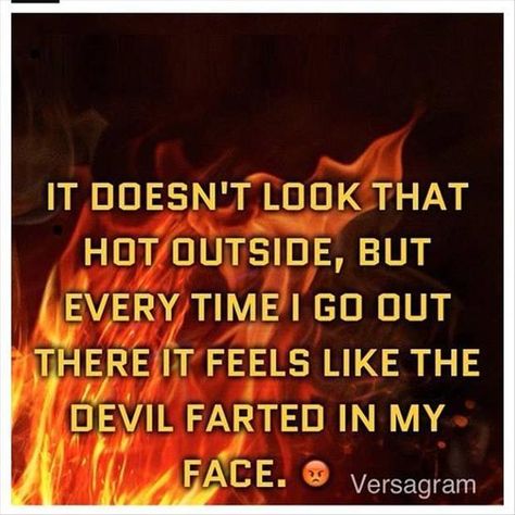 Funny Pictures Of The Day – 47 Pics Heat Humor, Hot Weather Humor, Southern Humor, Hate Summer, Funny Weather, Melting Moments, Funny P, Hot Outside, Weather Report