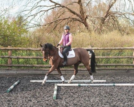 30-minute Flatwork Lesson - Your Horse Dressage Tests, Dressage Exercises, Horse Riding Tips, Easy Exercises, Workout At Work, 30 Minute Workout, Equestrian Life, Horse Training, Easy Workouts