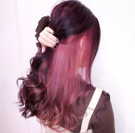 Korean Pink Highlights, Red Hair With Peekaboo, Brown And Colorful Hair, Dark And Light Pink Hair, Red Hair With Pink Underneath, Blackpink Hair Color, Maroon And Pink Hair, Dark Pink Hair Color, Undercolor Hair Ideas