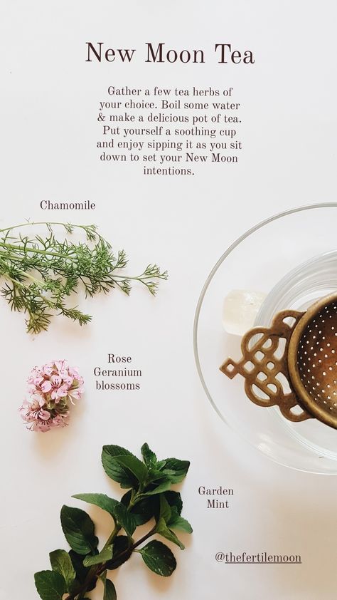 Herbal Tea Magic, Moon Tea Recipe, Herbal Tea Aesthetic, New Moon Tea, Intention Setting Ritual, Magical Tea, Tea Magic, Moon Tea, Tea Blends Recipes