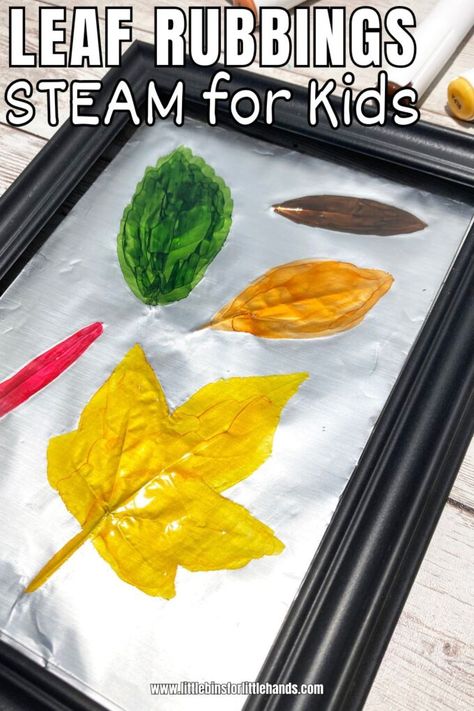 Leaf Rubbing Activity Leaves Science Preschool, Water Sensory Bin Preschool, Leaf Rubbing Preschool, Leaf Investigation Preschool, Leaf Games For Kids, Kindergarten Autumn, Leaf Rubbing, Leaf Rubbings, Leaf Man