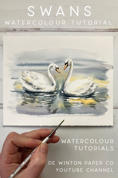 Paint along with me in my brand new watercolour swans tutorial on youtube. Click the link to paint watercolor swans. Two Swans Painting, Swan Art Painting, Swan Watercolor Painting, Swan Watercolor, Swan Drawing, Swan Painting, Tears Art, Water Coloring, Swans Art