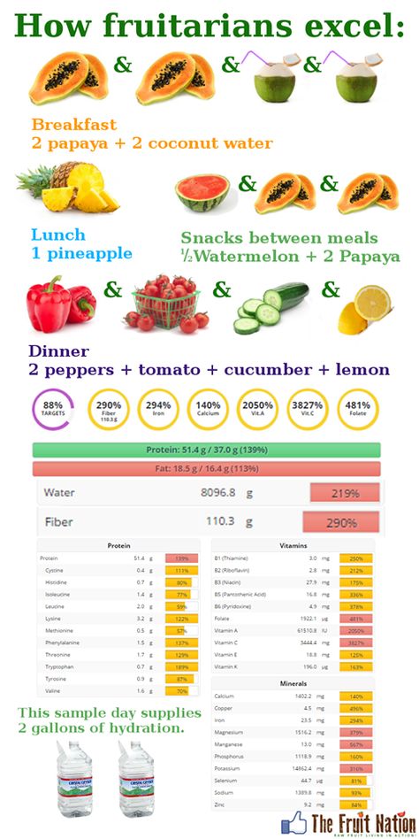 50 grams of protein from all fruit ?? 2 gallons of water without drinking all day ?? Meeting and far exceeding nearly all recommended daily values for vitamins and minerals ?? Over 100 grams of fiber in a day ??? Eating 600 grams of sugar in a day ?!? Yep - welcome to how fruitarians thrive.  This is one of hundreds of example days of a fruitarian eating their species specific diet that was passed down to them from hundreds of thousands of generations before them. 50 Grams Of Protein, Fruitarian Diet, Raw Vegan Diet, Fruit Diet, Raw Diet, 1200 Calories, All Fruits, Prenatal Vitamins, Raw Vegan Recipes