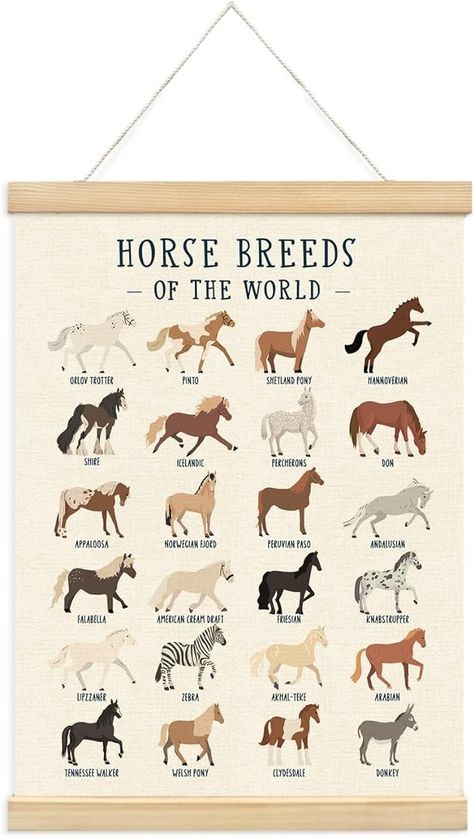 Amazon.com: XYDEG Horse Poster for Playroom Decor,Horse Breeds Of The World Poster for Kidsroom Nursery,Educational Horsey Banner Poster Hanger Frame for Homeschool Classroom,Horse Gifts for Horse Lovers,12x16: Posters & Prints Horse Poster, World Poster, Welsh Pony, Horse Posters, Shetland Pony, Homeschool Classroom, Horse Gifts, Poster Hanger, Clydesdale