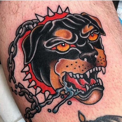 15 Gorgeous Tattoos Showing That Rottweilers Are Fearless Dogs Mean Dog Tattoo, Traditional Doberman Tattoo, Rottweiler Tattoo, Doberman Tattoo, Pitbull Tattoo, Bulldog Tattoo, Traditional Style Tattoo, Bull Tattoos, Old School Tattoo Designs