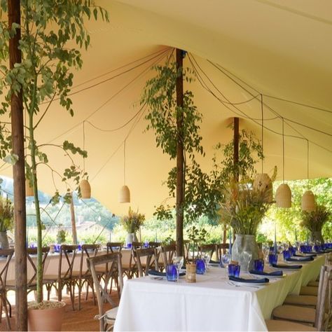 I love this stretch tent from @qandrevents with the trees that look like they are climbing up to the top of the poles. The Weather in July can be so changeable and we were lucky with this one. ⠀⠀⠀⠀⠀⠀⠀⠀⠀ ⠀⠀⠀⠀⠀⠀⠀⠀⠀ I love the way the blue glasses ping of the table and brighten the whole scheme up! Lizzie from @fabulouscompany was great when I showed her the picture of these glasses she knew they'd fit perfectly with her other hire items and so purchased loads. ⠀⠀⠀⠀⠀⠀⠀⠀⠀ ⠀⠀⠀⠀⠀⠀⠀⠀⠀ 📸 @joannasulliva Stretch Tent Decor, Stretch Tent Wedding, Stretch Tent, Tent Decor, Tent Decorations, Rustic Wedding Diy, Blue Glasses, Marquee Wedding, Wedding Styling