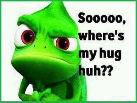 (((AIR HUGS))) Snuggles Quotes, Hug Meme, Cheeky Quotes, Hugs And Kisses Quotes, Emoticons Emojis, Need A Hug, The Social Network, Quotes Disney, Funny Picture Quotes