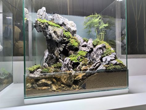 check out how this paludarium been made on youtube   #paludarium #aquaterrarium #terrarium #waterfall #aquatic #seiryu #seiryu stone aquascape #bonsai #river #aquarium design #paludarium waterfall #paludarium waterfall aquascaping #aquascaping Paludarium Waterfall Aquascaping, Terrarium Waterfall, Paludarium Waterfall, Waterfall Paludarium, Paludarium Shelf, Aquascape Bonsai, Stone Aquascape, Vertical Paludarium, River Aquarium