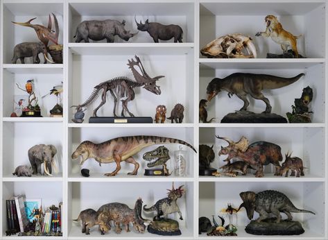 Dinosaur Toy Display, Dinosaur Diorama, Dinosaur Display, Big Lizard, Dinosaur Room Decor, Dino Print, Dinosaur Room, Dinosaur Posters, Toy Display